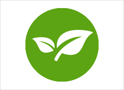 Conflict Minerals Policy